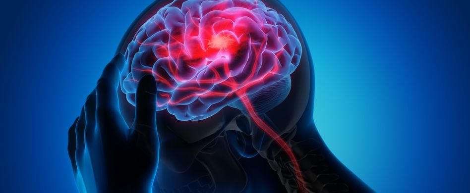 Diese 3 Parasiten können das menschliche Gehirn befallen