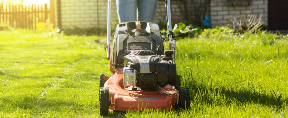 Diese Rechte und Pflichten hat der Mieter bei der Gartenpflege