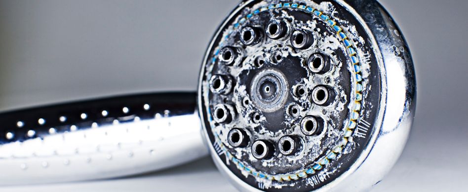 Duschkopf entkalken: 5 Hausmittel gegen den Kalk