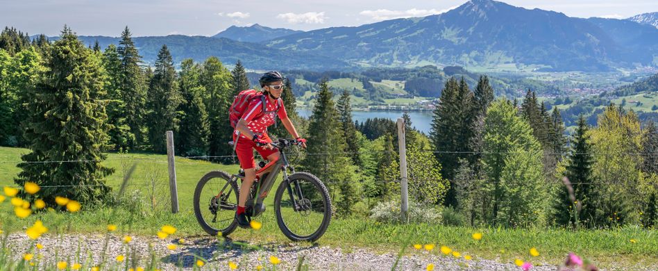 E-Bikes-Vergleich: Welche sind die besten E-Bikes?