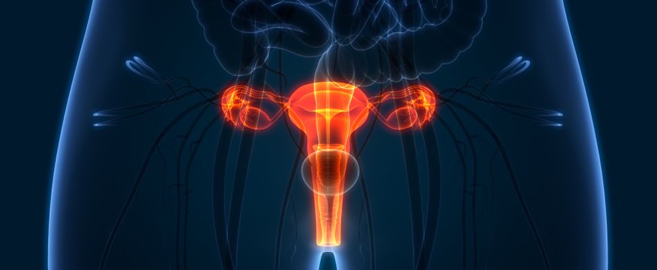 Ein Leben ohne Gebärmutter: Was ist das MRKH-Syndrom?