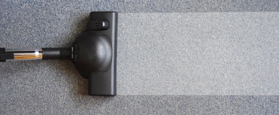 Eklig: Daraus besteht Hausstaub wirklich