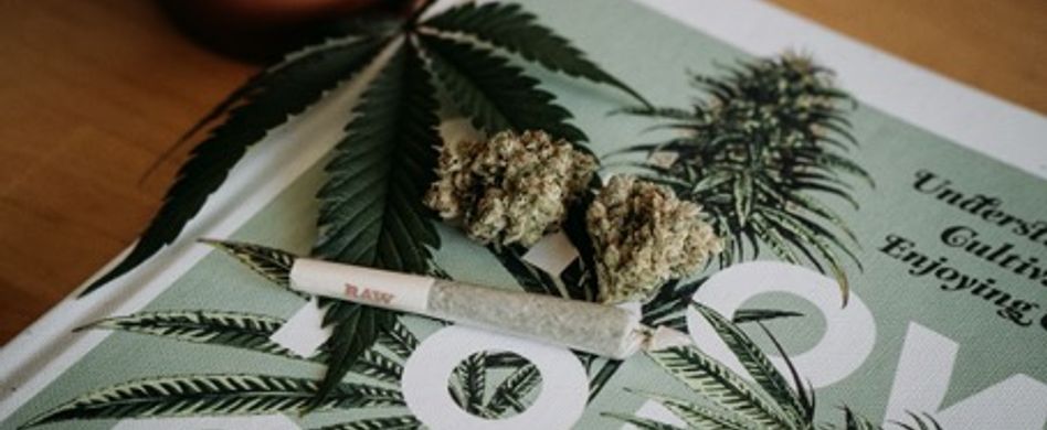 Endlich legal: Wo wird man Cannabis kaufen können?