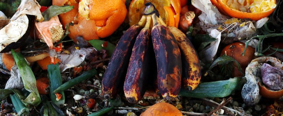 Endlich weniger Lebensmittel wegwerfen: So viel Essen landet in der Tonne