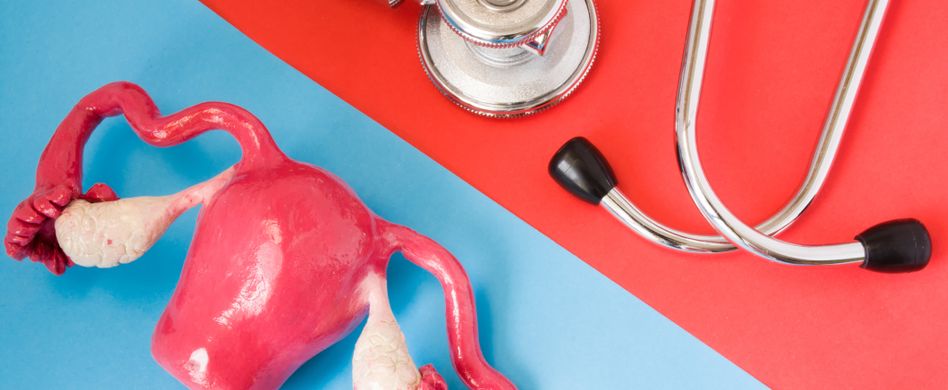 Eierstöcke und Stetoskop