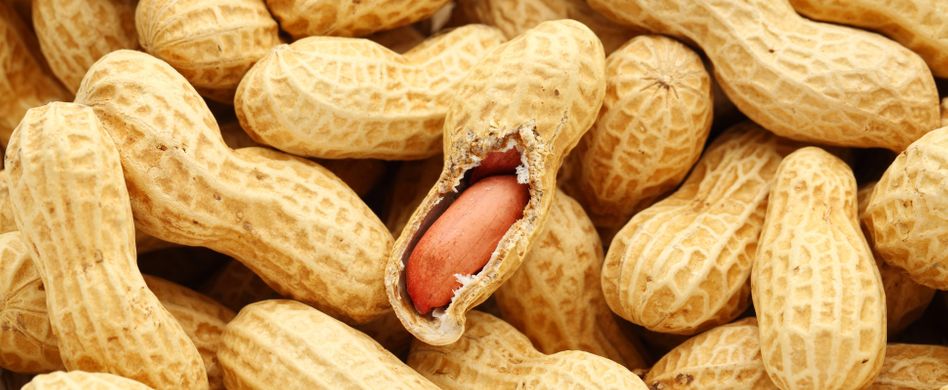Erdnussallergie: Symptome und Behandlungsmöglichkeiten