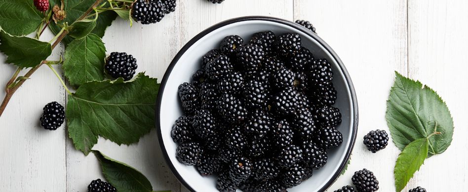 Ernährung gegen Falten: Die besten Anti-Aging-Lebensmittel