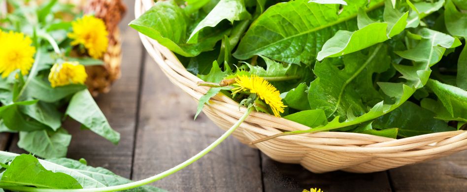 Essbare Blumen: Diese 5 Pflanzen können Sie essen!