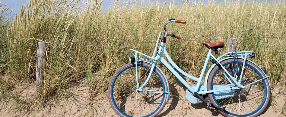 Fahrradtransport: Sicher unterwegs mit dem Rad in Bus, Bahn & Co.