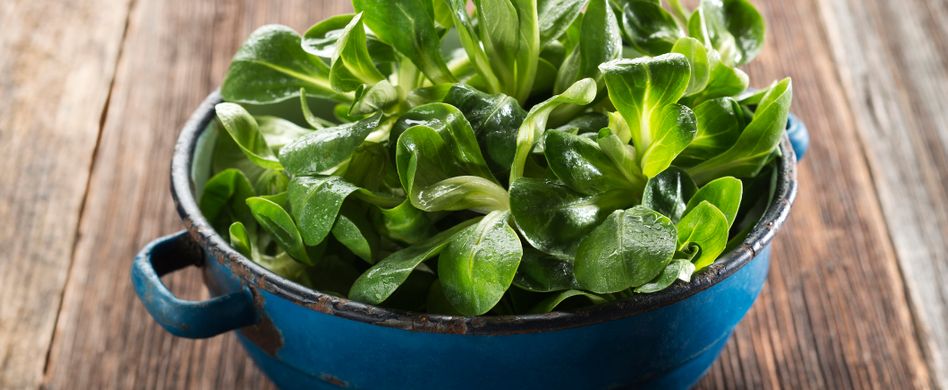 Feldsalat: Natürliche Nervennahrung vom Feld