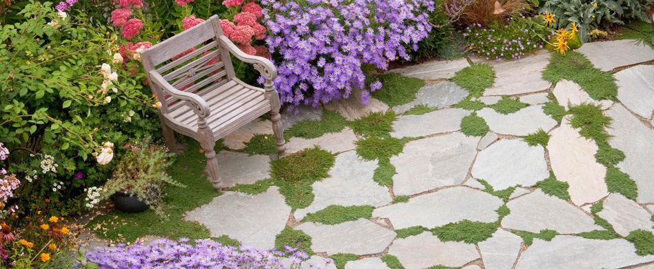 Feng-Shui-Garten: Harmonie für das heimische Grün