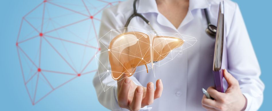 Fettleber: Ursache und Symptome der Leberverfettung