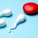 Folsäure für Männer: Besseres Sperma Dank Vitamin B9?