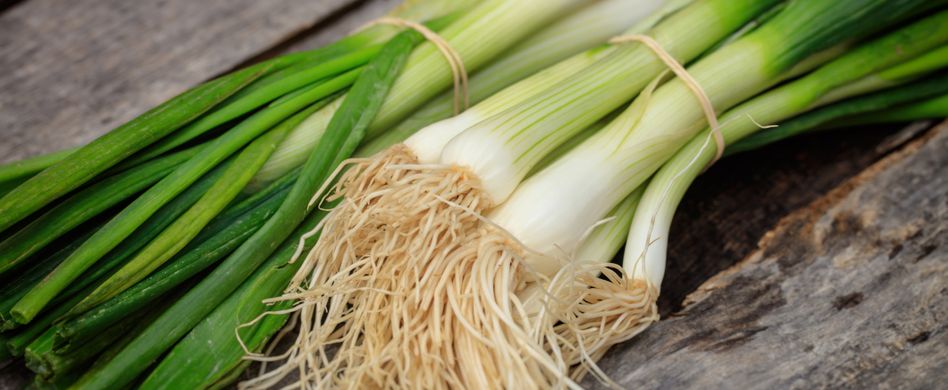 frühlingszwiebel auf holztisch