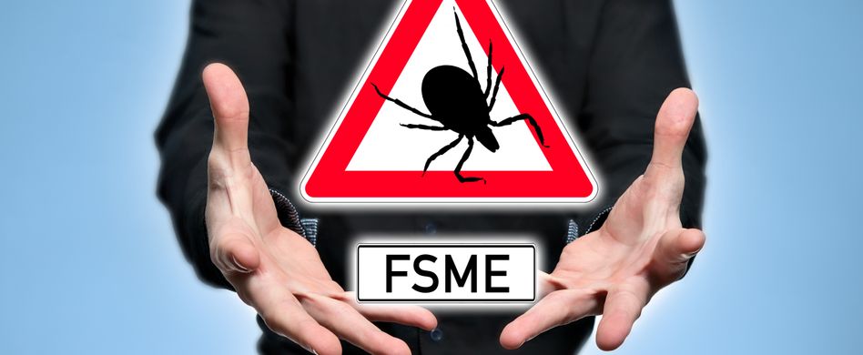 Frühsommer-Meningoenzephalitis (FSME): Symptome, Behandlung & FSME-Impfung
