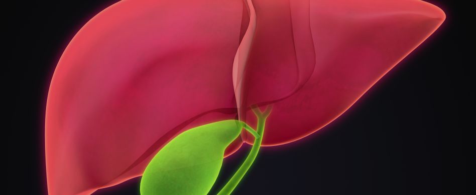 Gallenblasenkrebs: Ursachen, Risikofaktoren und Symptome