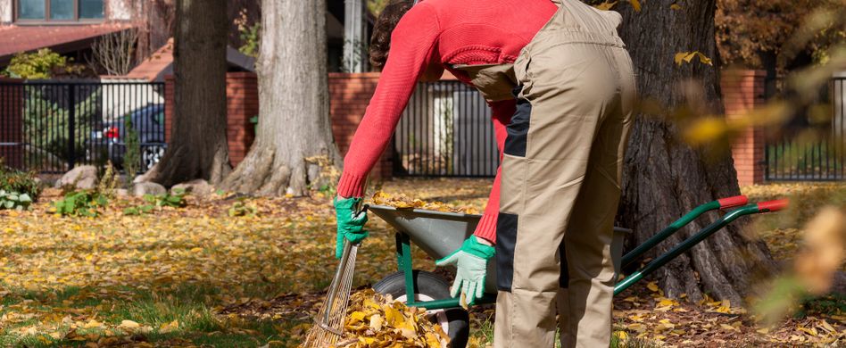Garten im Herbst: 6 Tipps für die dritte Jahreszeit