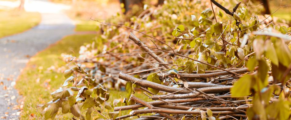Gartenabfälle entsorgen: 4 Tipps zum Gartenmüll