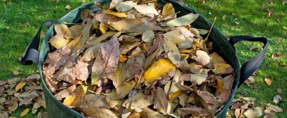 Gartenabfall entsorgen: Am besten mit Gartenabfallsack