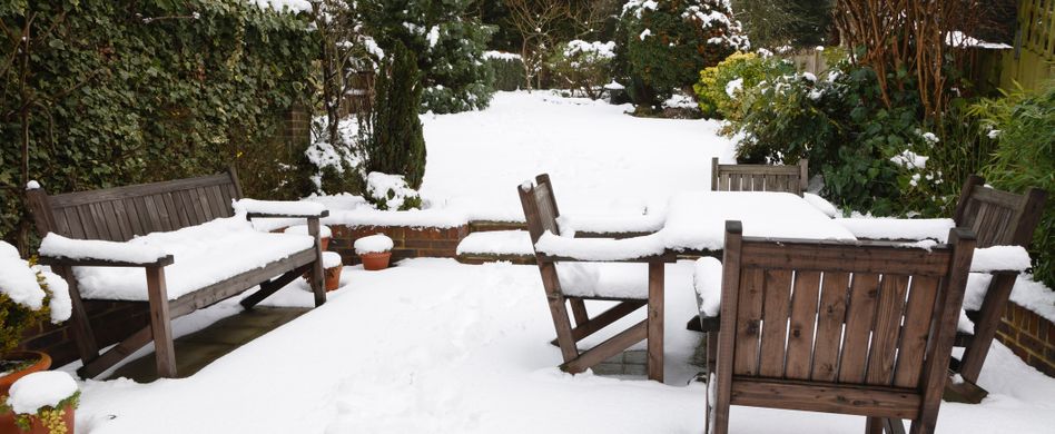 Gartenarbeit im Dezember: Das ist zum Jahresende zu tun