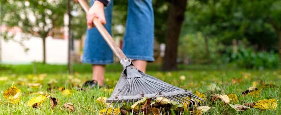 Gartenarbeiten im Oktober: Der Herbst ruft