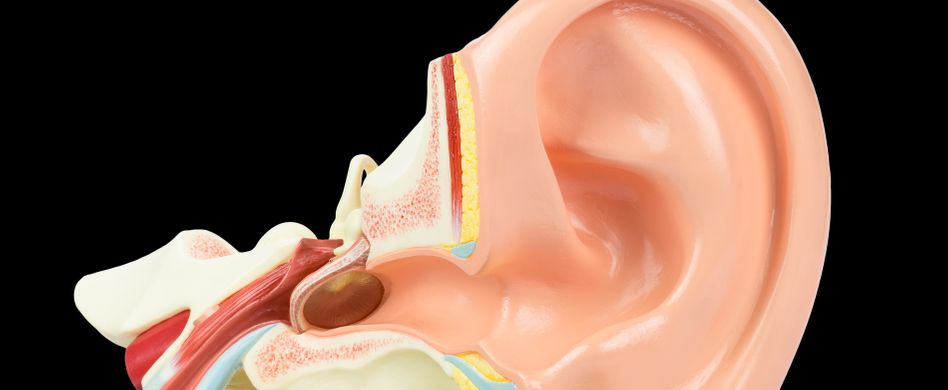 Gehörgangsentzündung: Ursachen, Symptome und Therapieformen
