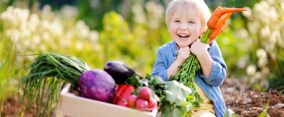 Gemüse ernten: Wann und wie?