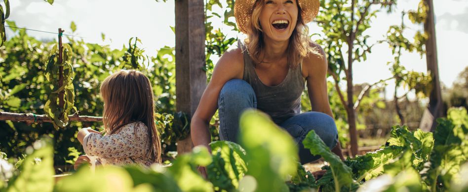 Gemüsebeet planen: So machen Sie alles richtig