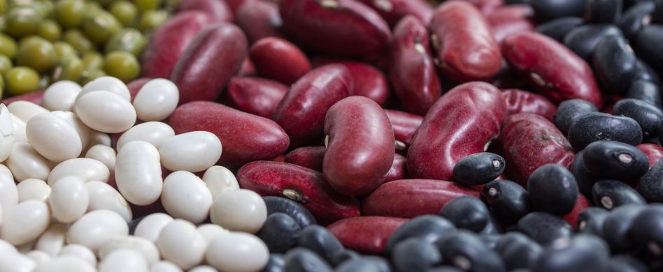Gesund und lecker: 8 Bohnensorten in der Übersicht