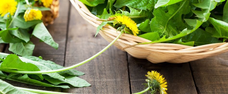 Gesunder Trend: 4 Wildkräuter, die Sie fast überall sammeln können