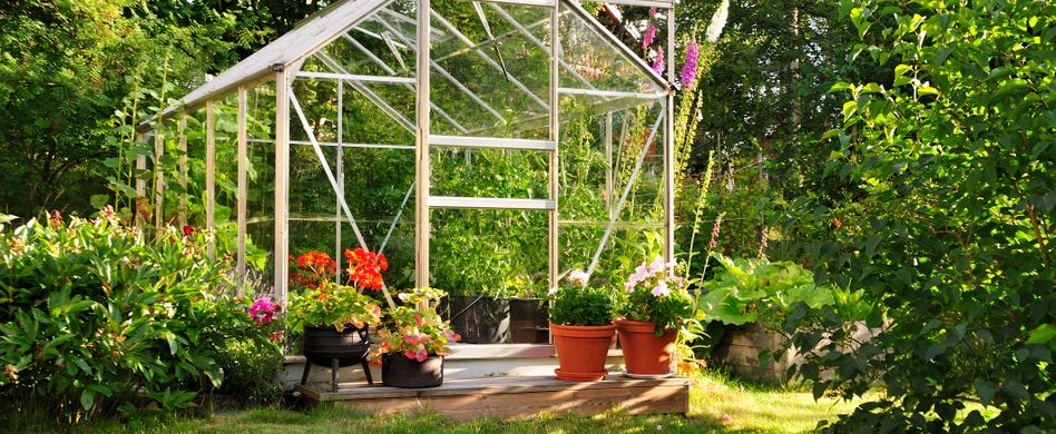 Gewächshaus bauen: So finden Sie den richtigen Standort