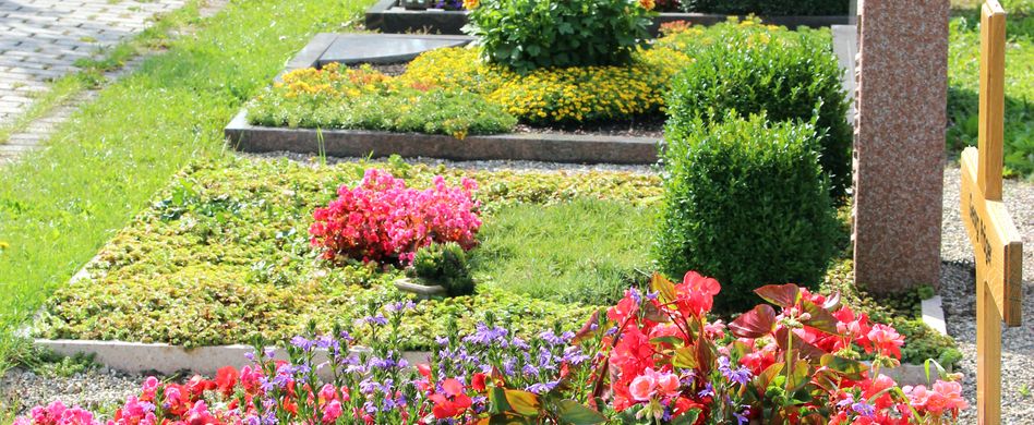 Grabbepflanzung im Sommer: Das ist zu tun