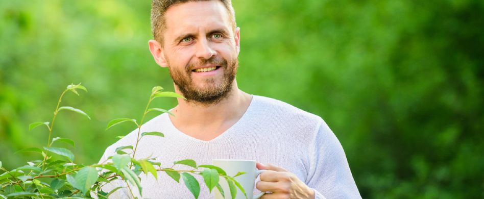 Grüner Tee: Wirkung des wohltuenden Heißgetränks