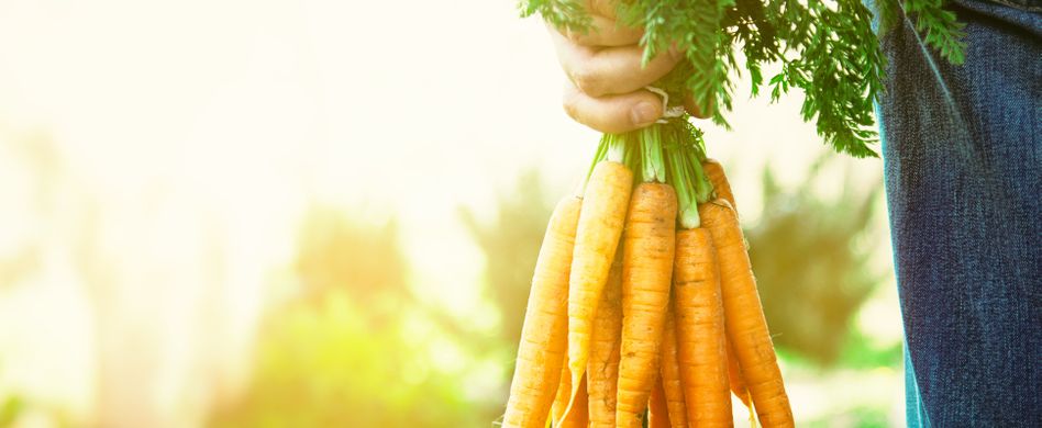 Gut für die Augen? Darum sind Karotten wirklich gesund