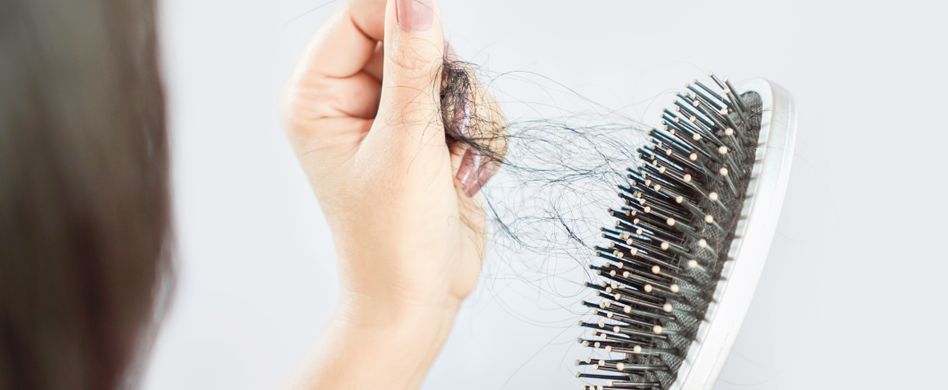 ausgefallene haare in bürste
