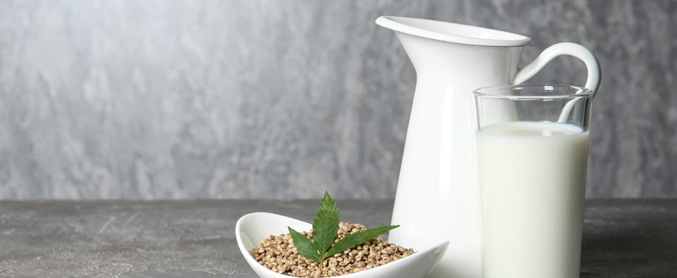 Hanfgetränke: Das sollten Sie über die berauschenden Getränke wissen