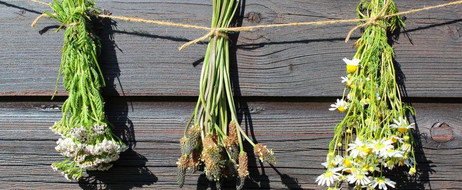 Hausmittel gegen Blähungen: 3 Lebensmittel, die helfen