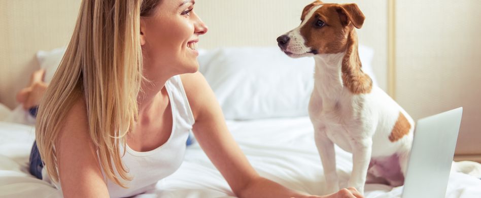 Haustiere in der Wohnung – was ist erlaubt?