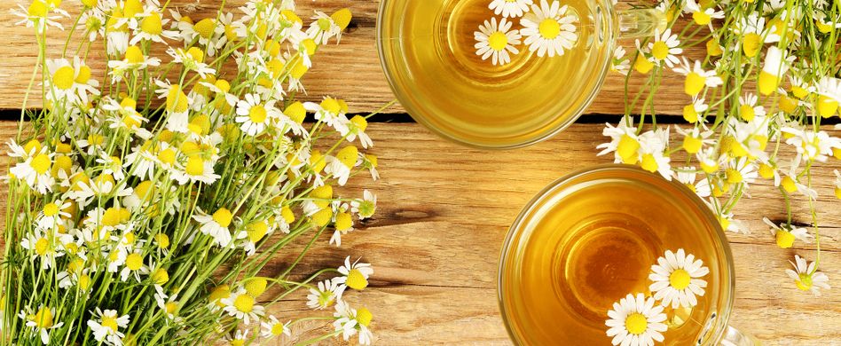  Heilpflanze Kamille: Beruhigt den Magen