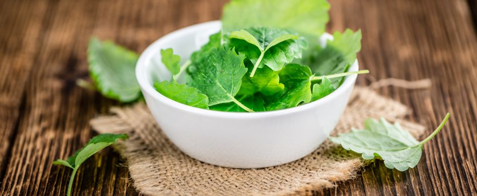 Heilpflanze Melisse: Hilft gegen Herpes