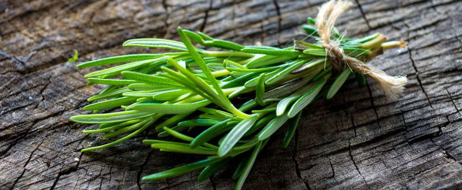Heilpflanze Rosmarin: Lindert Verdauungsbeschwerden