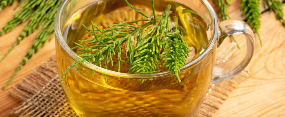 Heilpflanze Schachtelhalm: Hilft bei Harnwegsbeschwerden