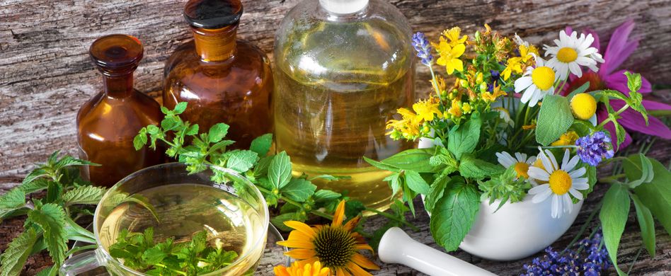 Heilpflanzen-Wissen: Von Aloe vera bis Thymian