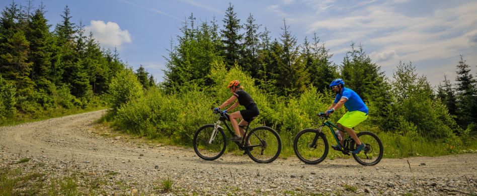 Helmpflicht auf dem Fahrrad: Wissenswertes zum Kopfschutz