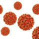 Hepatitis D: Seltene Leberentzündung ist schwer heilbar