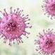 Herpes-Ursachen: Geschwächte Immunabwehr weckt Herpes-Viren auf