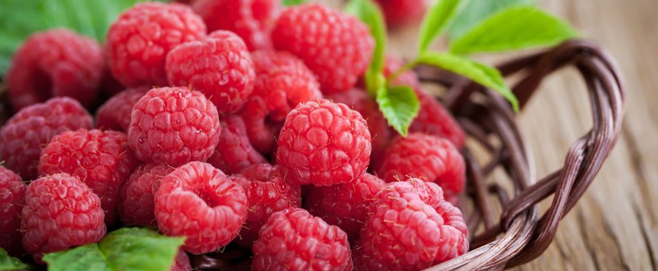 Himbeeren: Wie gesund sind die leckeren Beeren?