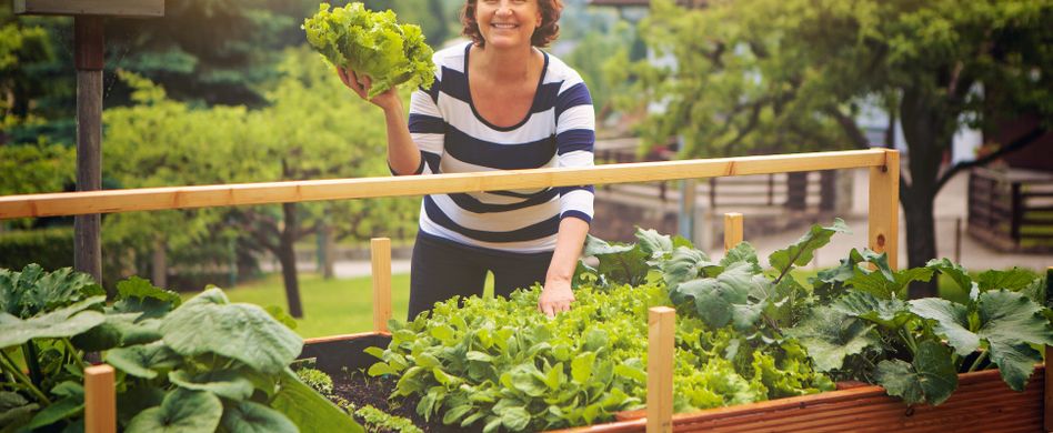Hochbeet anlegen: So gelingt der rückenschonende Minigarten