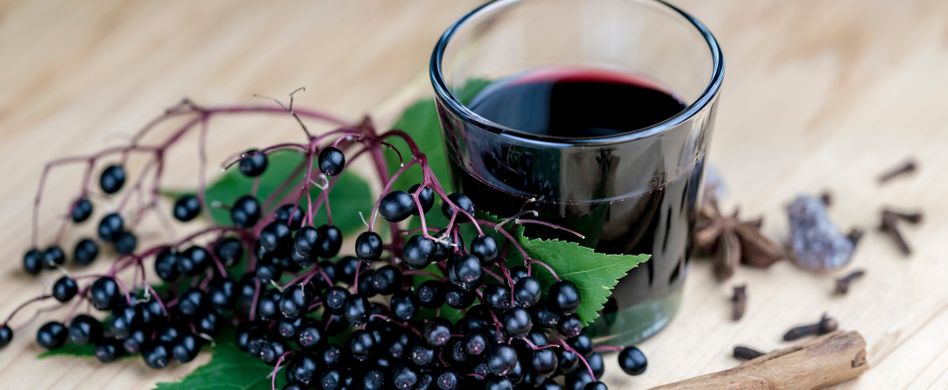 Holunder: 4 Fakten zur Wirkung der Fliederbeeren