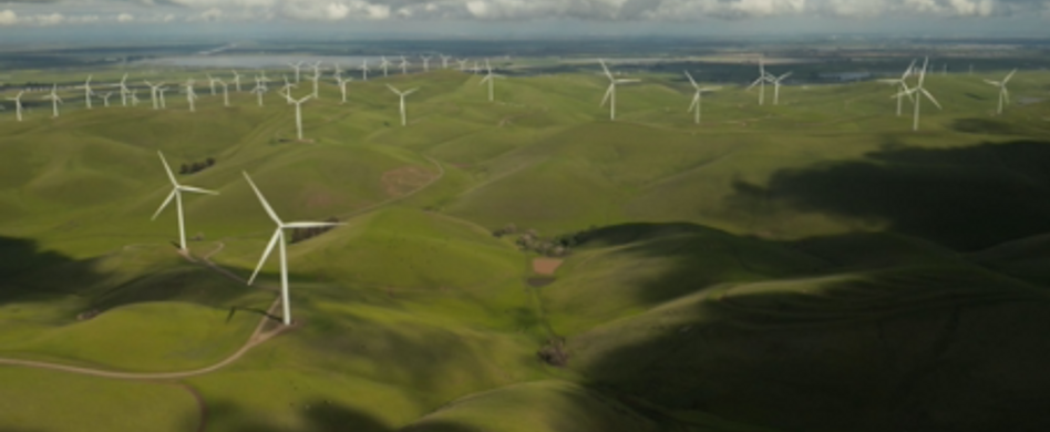 In Nachhaltigkeit investieren: Das gilt es zu beachten